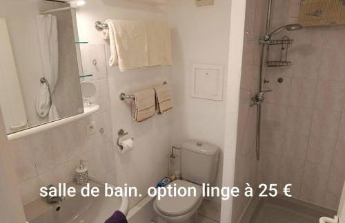 Locations Vacances Obernai Studio - Foto 21