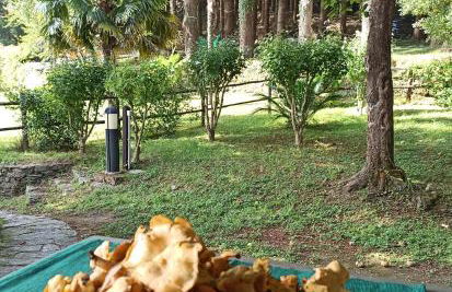 Il Bosco di Campo Marzano green & sky - Foto 37