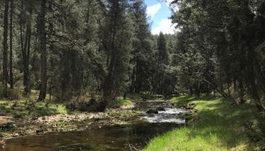 La Masía de Navas - Foto 5