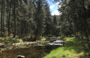 La Masía de Navas - Photo 5