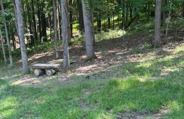 The Saige - Hot Tub, Fire Pit, and huge entertainment area - Foto 56