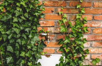 Chata na Zielonym Wzgórzu - Foto 62