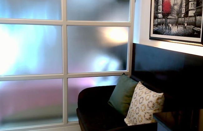 Stellar Collection - Foto 11