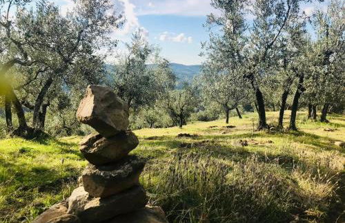 Corte di Valle Wine and Resort - Foto 30