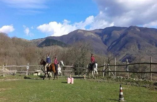 Bungalow in Ferienresidenz mit Pool - Foto 27