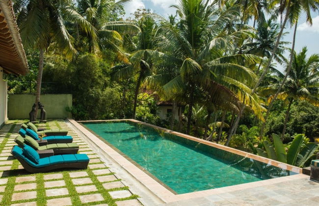 Modern Luxury 03 Bedroom Villa - Photo 10