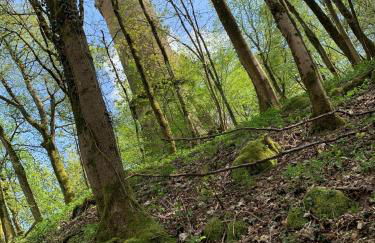 Infinity Two - Foto 19