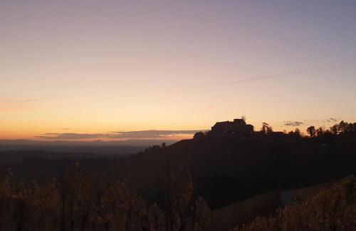 Ferienwohnung in Durbach- Urlaub am Weinberg - Foto 28