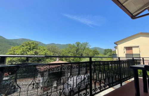 Cuore Verde - Foto 10