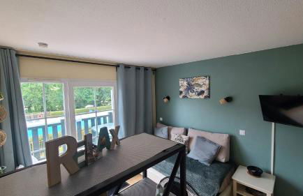 Charmant Duplex en bord de Dordogne - Argentat- Corrèze - Foto 9