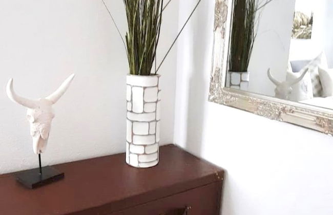 Belle Kitz Pure - Foto 7