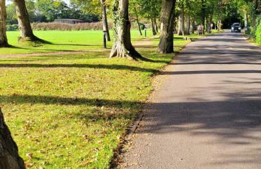 New Forest Bees Holiday Home, Bashley - Foto 21