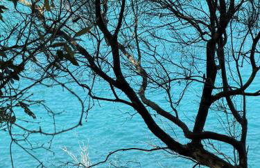 Casa Pietra 27 , Authentic Istrian Stone House - Foto 29