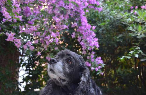 FANTASTIC SARDINIA VILLETTE CON GIARDINO Fronte Mare Fertilia FAHO-GAV01-GAV02 - Foto 152