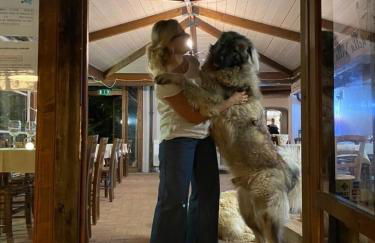 SetterHouseAgriHotel - Photo 47