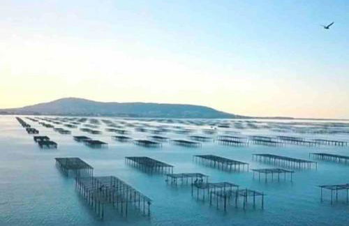 Oasis Cove Côté Étang, accès baignade, proche plage - Foto 9