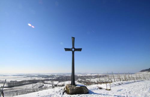 Weingut Ilmbacher Hof - Foto 64