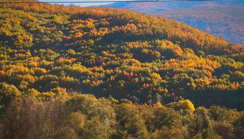 Los Naranjos de Jerte - Foto 4