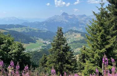 L'Ecrin des Myrtilles - Appartement cosy - Piscine et vue montagne - Alpes - Val d'Arly - Aravis et Beaufortain - Foto 12