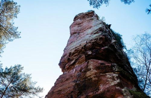 Ferienwohnung Weitblick im Dahner Felsenland - Foto 44