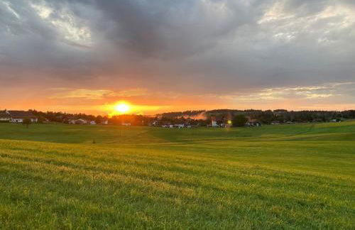 Ferienwohnung Pickenhan - Foto 42