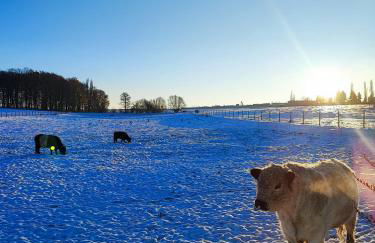 Urlaub im Neuseenland - Foto 34
