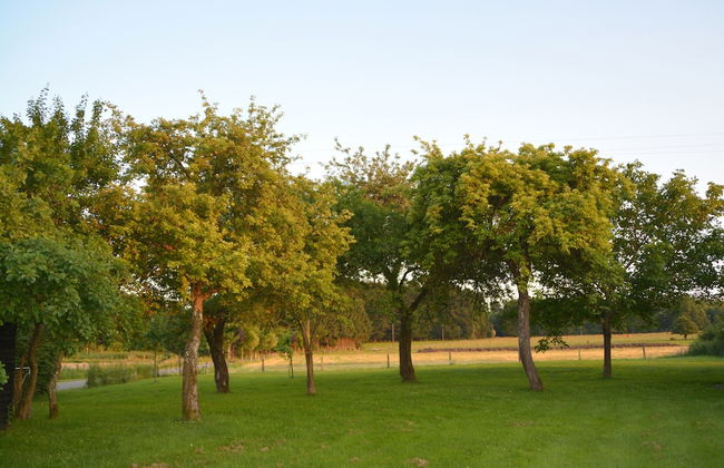 Heritage Holiday Home in Roumont - Foto 29