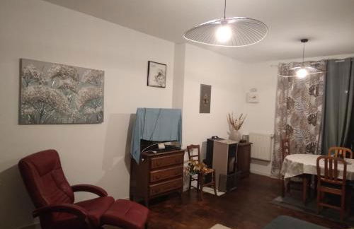 Maison de village proche du Lac de Vassivière - Foto 16