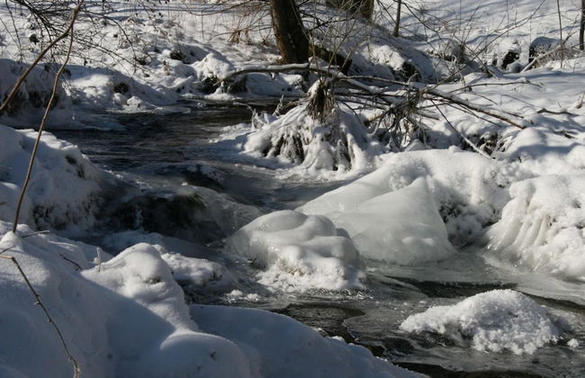 Historisches Ferienhaus im Schwarzwald - Photo 23