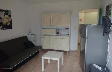 App le palais d'été - Foto 12