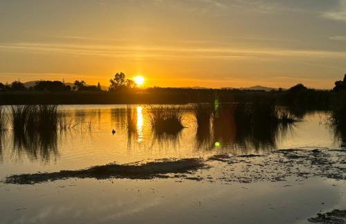 Primera línea de playa en Villaricos - Foto 28