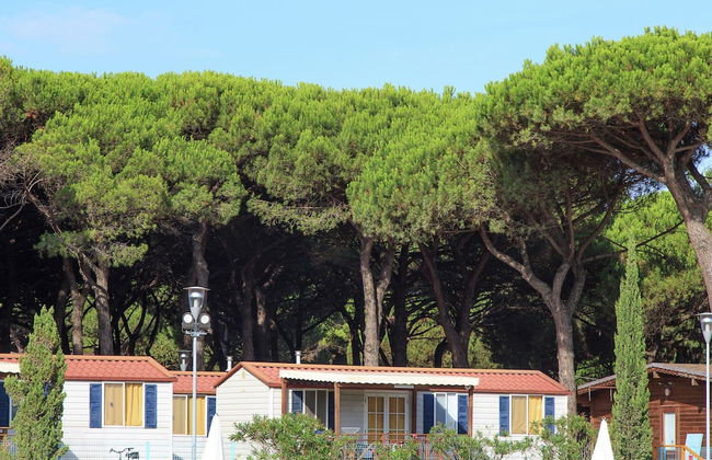 Nice Chalet in Pine Forest near Adriatic Sea - Foto 28