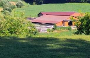 Mattheishof - Foto 23