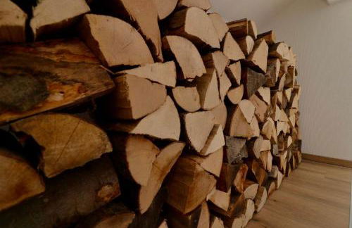 EifelBleibe, Ferienwohnungen - Foto 48