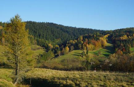 Dom w Uhryniu - Photo 12