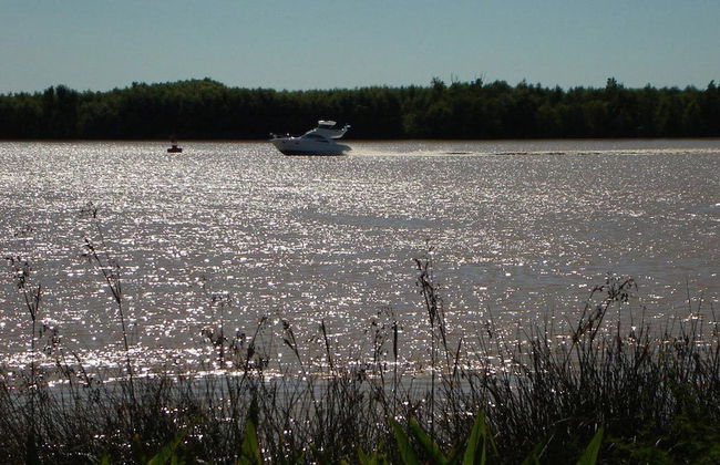 Pura Sangre Chacra - Foto 22