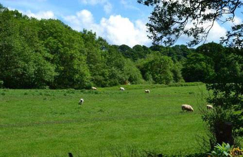 Arrowwood Self Catering (Wagtail and Nuthatch) - Foto 31