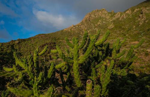 La Cábala del Draguillo - Foto 12