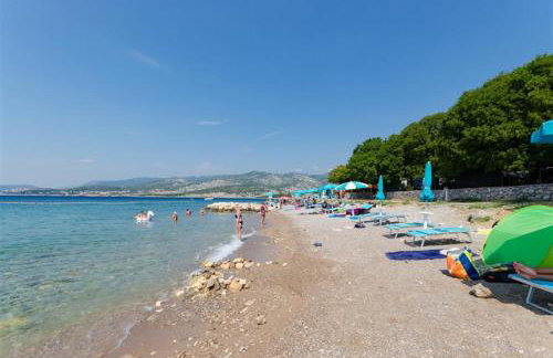 Dream In Green - Foto 39