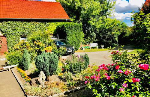 Top-moderne Ferienwohnung und Apartments auf früherem wunderschönen Bauernhof im Elbe-Elster-Kreis in Brandenburg bei Herzberg-Elster, Schönewalde, Holzdorf - Foto 25