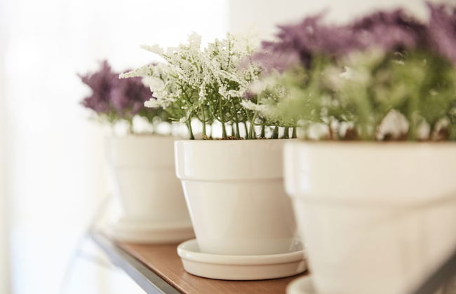 Feronia Villas - Foto 28