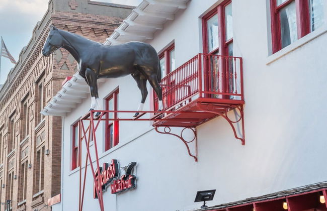 4 Queen Beds High Speed Wifi Private Parking - Foto 56