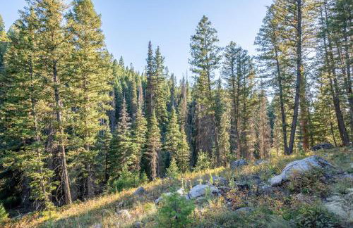 The Basin - Luxury Family Cabin in Philipsburg - Foto 74