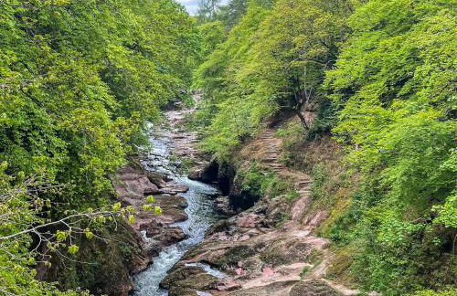 The Garden Pod - Photo 20