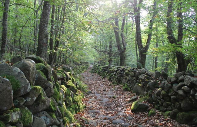 Apartment in Casola Near Torre di Casola - Foto 40