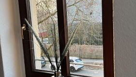 FeWo Blick zum Lulatsch - Foto 2