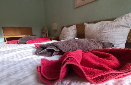 Ferienwohnungen Am Bühlwald - Foto 5