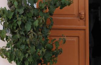 Apano Vrysi - Foto 12