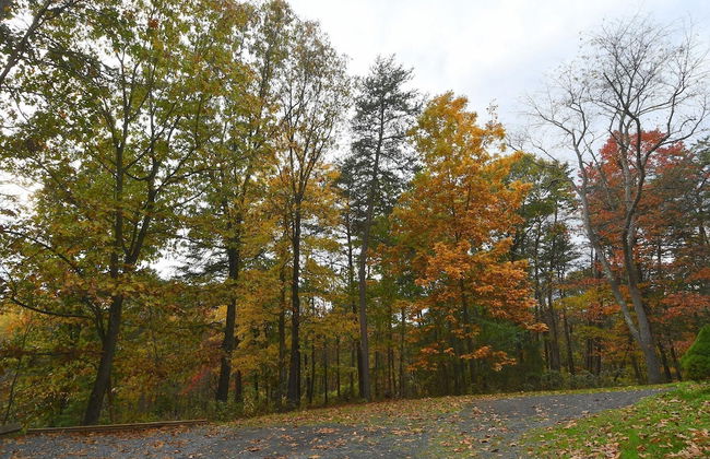 Seventh Heaven - Heavenly Retreat - Foto 40