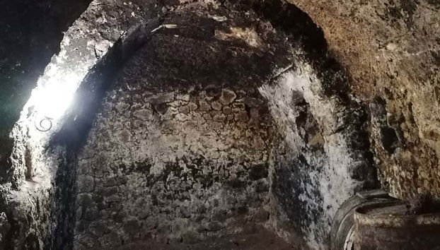 Tour in Peñaranda de Duero - Photo 4